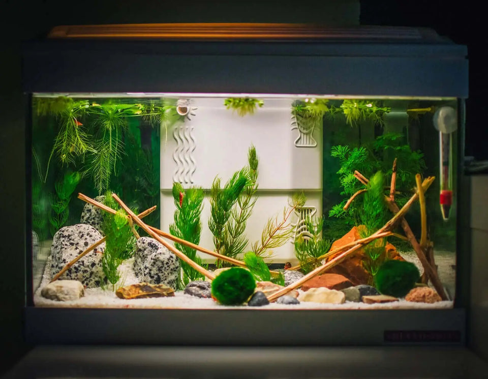 Aquascalping rocas y cuarzo sustratos peceras acuarios comprar de cantera