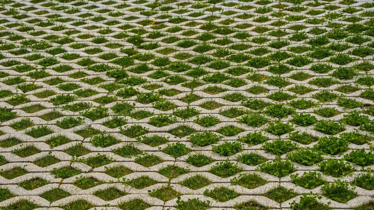 Celosia hormigon para jardin cesped y hormigón con huecos