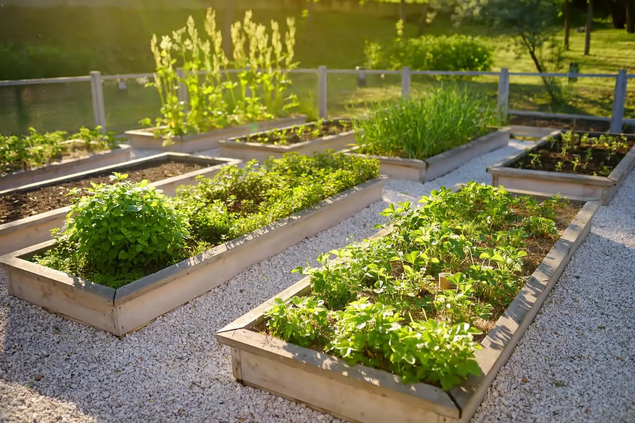 Harina de basalto comprar directo barato en jardineras y huertos urbanos