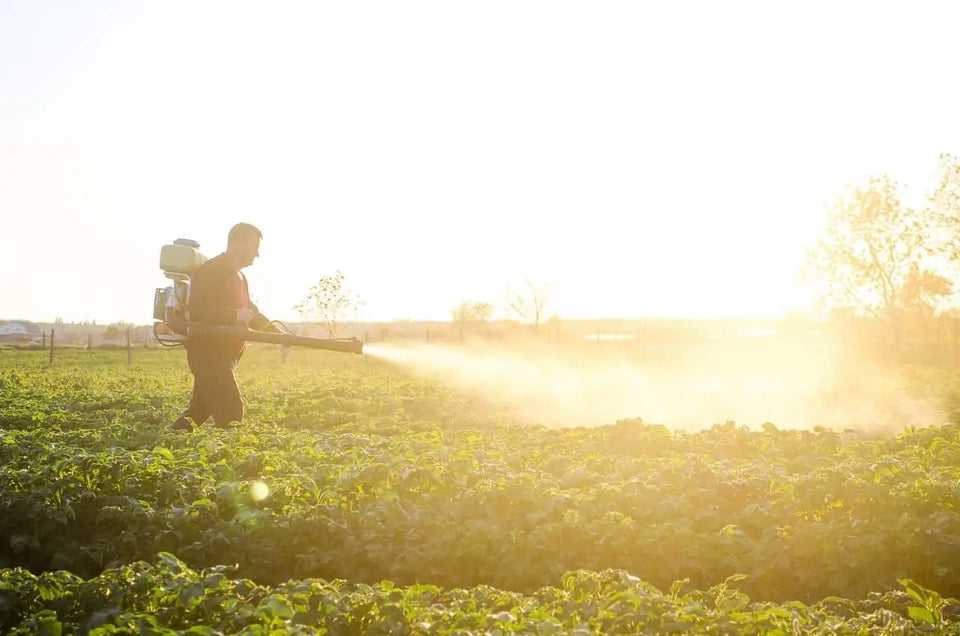 ¿la cal dolomita se puede aplicar por vía foliar? - Vetonek