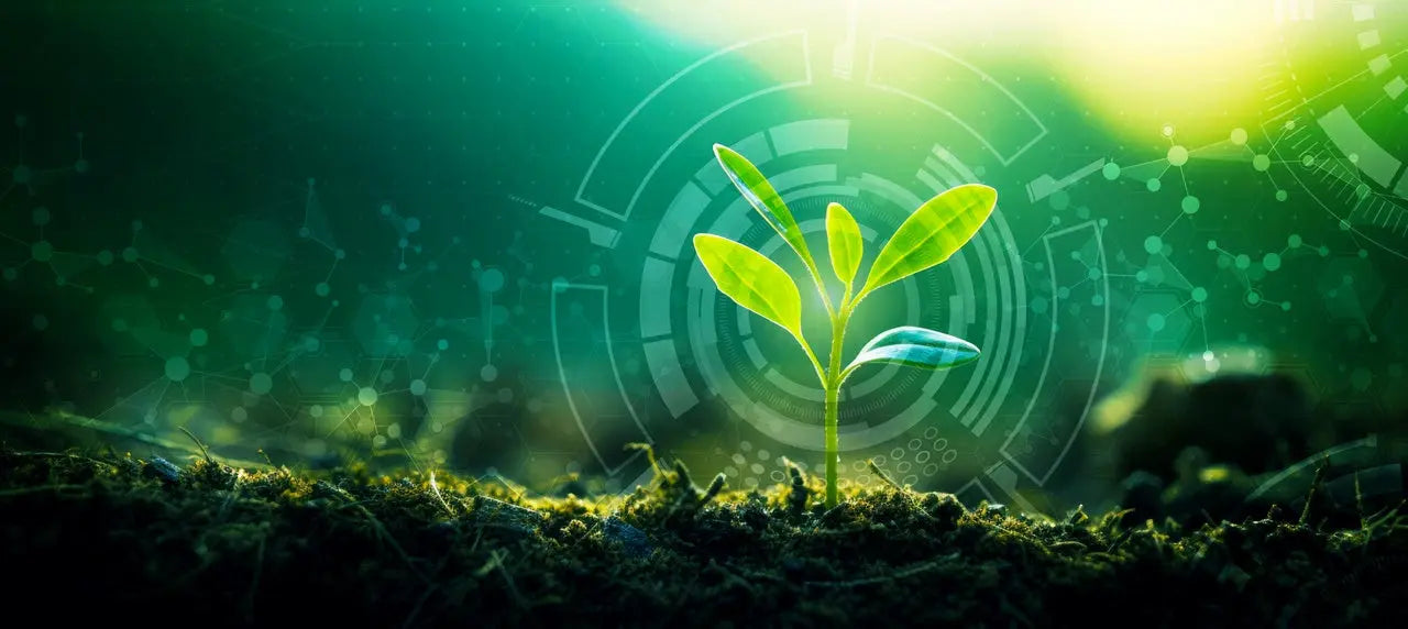 Explorando-el-Impacto-del-Paramagnetismo-en-la-Agricultura-La-Revolución-de-la-Harina-de-Basalto Vetonek