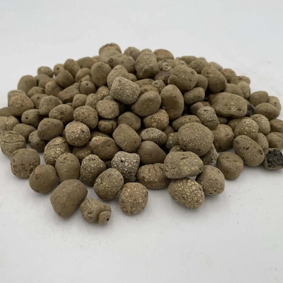 sustratos decorativos arcilla expandida