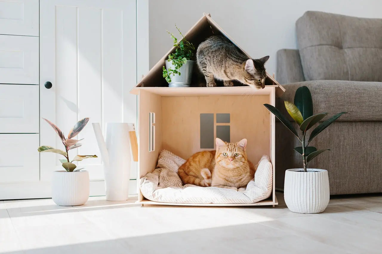 Camas-para-gatos Vetonek