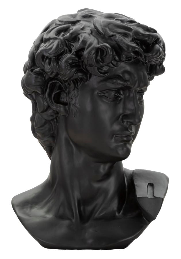 Cabeza grande negra cm 44x35,5x60 Vetonek