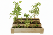 Cajón de Cultivo Escalera 120x80cm. 210L - Vetonek