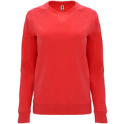 Sudadera entallada de manga larga estilo ranglán Vetonek Vetonek