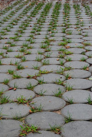 Pavé rond - Vetonek