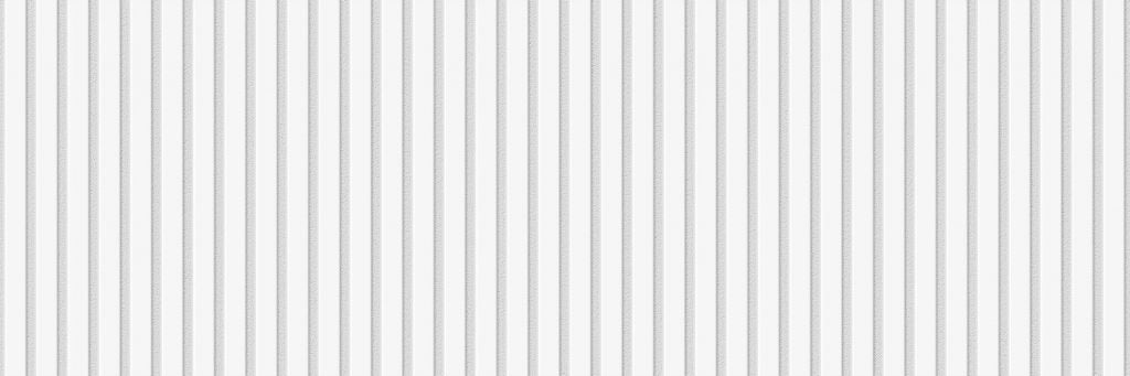 Blois Relieve Linea Blanco pieza 30x90