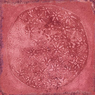 Azulejo Volterra Peccioli Granate 20x20 - Vetonek