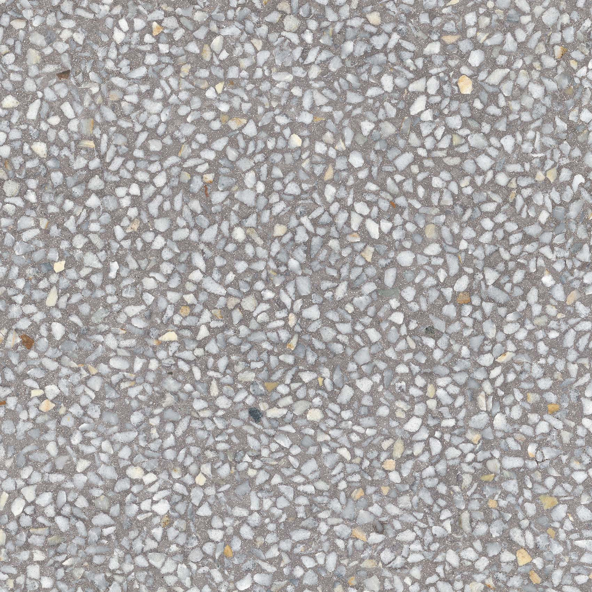 Baldosa terrazo Chiavari Cemento Semipulido 59,3x59,3 - Vetonek
