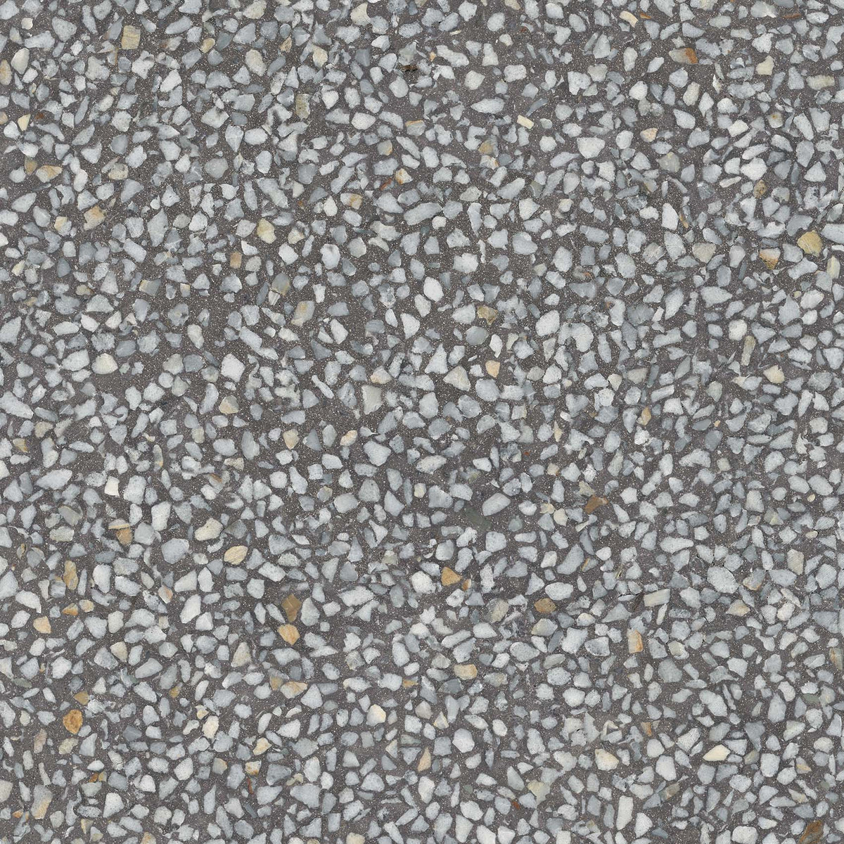 Baldosa terrazo Chiavari Grafito 59,3x59,3 - Vetonek