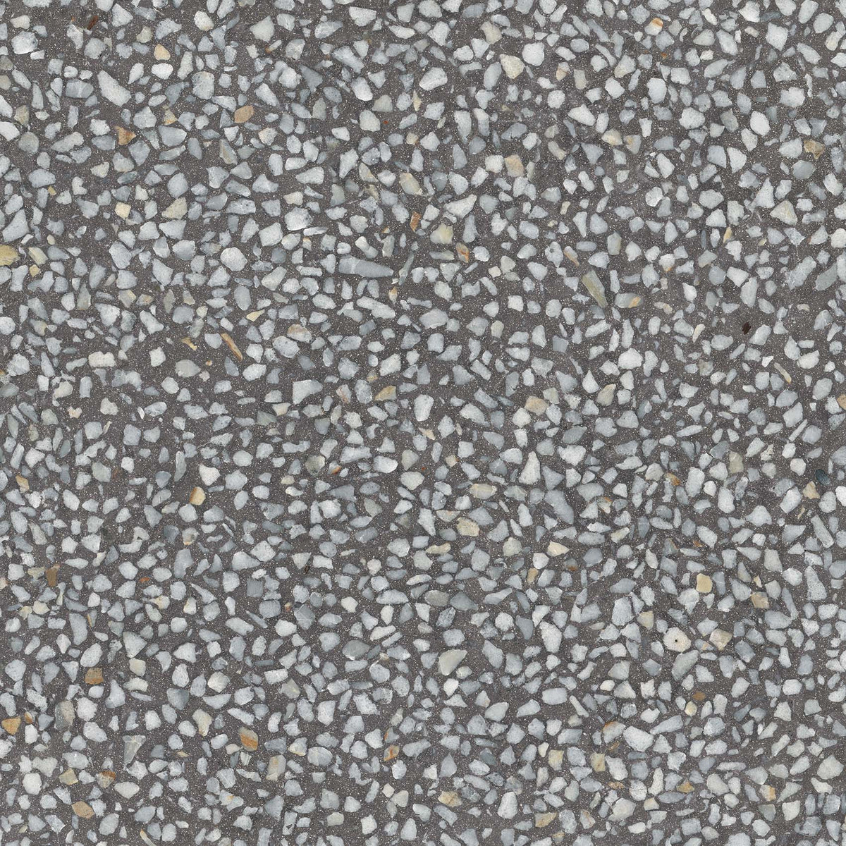 Baldosa terrazo Chiavari Grafito Semipulido 59,3x59,3 - Vetonek