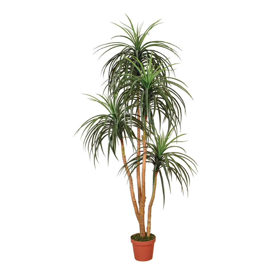 Planta Artificial Nolina: Decoración Natural Sin Mantenimiento Vetonek