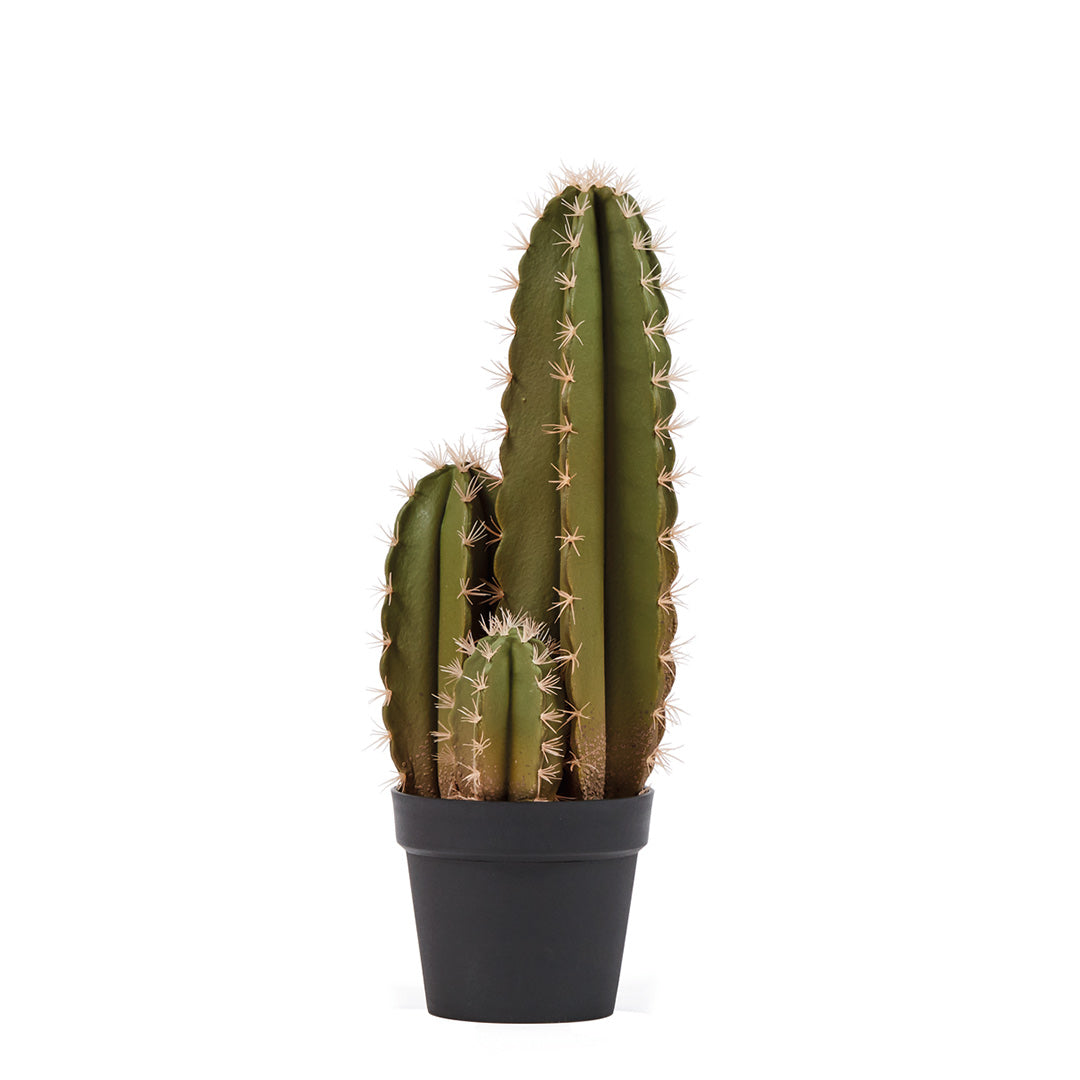Cactus Artificial Organo: Decoración Sin Mantenimiento Vetonek