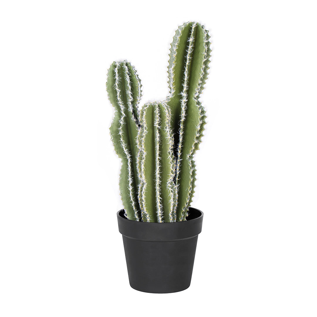 Cactus artificial castillo de hadas - decoración sin mantenimiento Vetonek