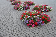 Pavés de granit pavements acheter en carrière