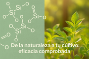 Defensa agricola de Cola de Caballo 5 L - Vetonek