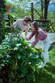 Tijera multiusos Bellota 3406 en uso cortando flores en el jardín