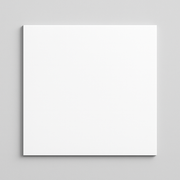 Carreau de porcelaine blanc mat - Vetonek