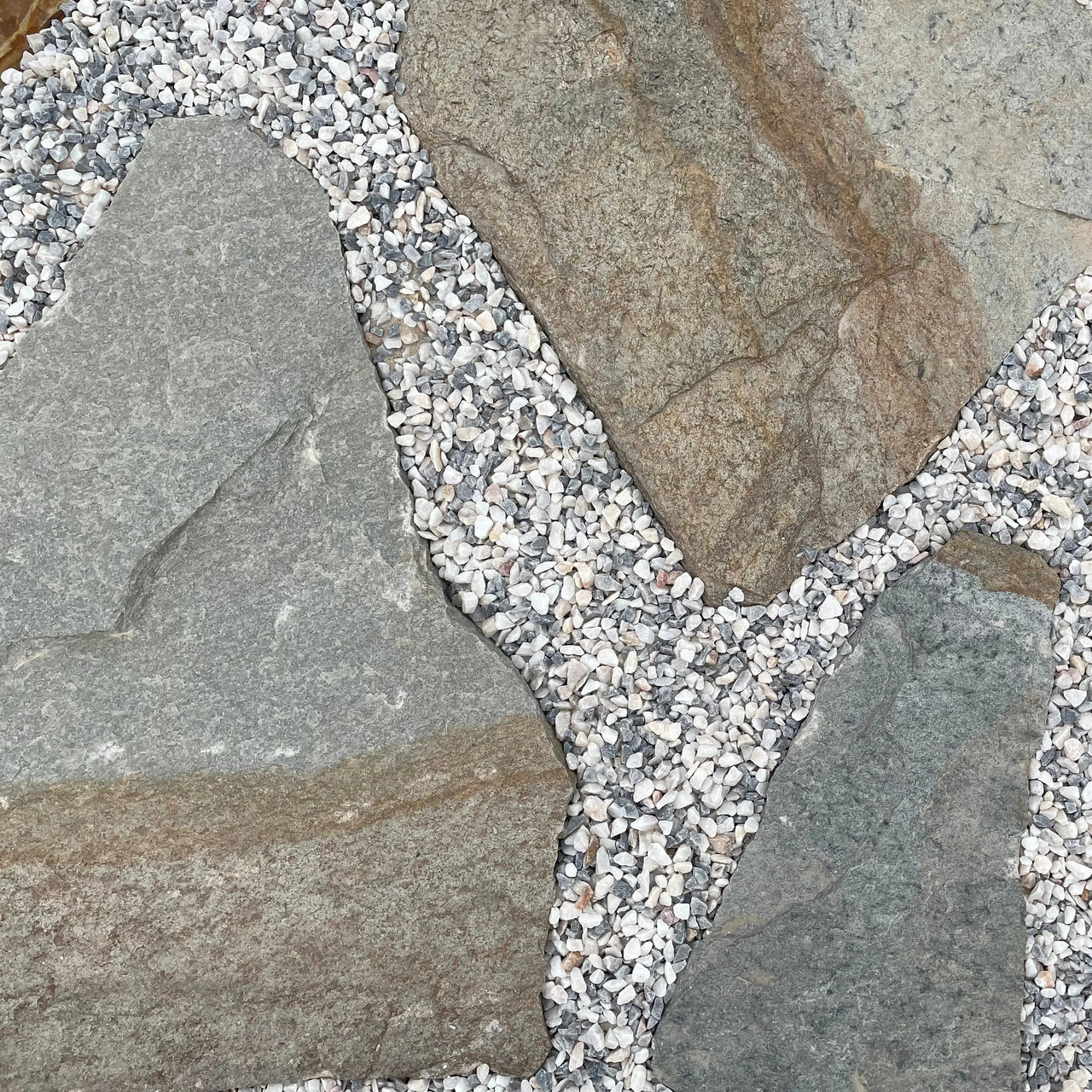 Planchoncillo Argent Bicolore Vetonek