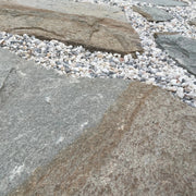 Planchoncillo Argent Bicolore Vetonek
