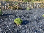 Grava drenaje jardineras - Vetonek