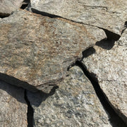 Planchoncillo Argent Bicolore Vetonek