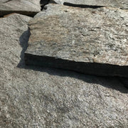 Planchoncillo Argent Bicolore Vetonek