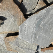 Planchoncillo Argent Bicolore Vetonek