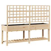 Macetero con Enrejado y Estante 203x53x152 cm de Madera Maciza de Pino V0616 Vetonek