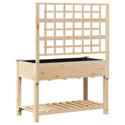 Plantador de Jardín con Enrejado y Estante 115x59x152 cm de Madera Maciza de Pino V0593 Vetonek