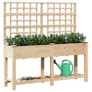 Plantador de Jardín con Enrejado y Estante 161x43x152 cm Madera Maciza de Pino V0609 Vetonek