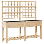 Plantador de Jardín con Enrejado y Estante 161x43x152 cm Madera Maciza de Pino V0609 Vetonek