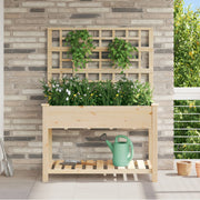 Plantador de Jardín con Enrejado y Estante 115x59x152 cm de Madera Maciza de Pino V0593 Vetonek
