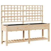 Macetero con Enrejado y Estante 203x53x152 cm de Madera Maciza de Pino V0616 Vetonek