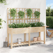 Plantador de Jardín con Enrejado y Estante 161x43x152 cm Madera Maciza de Pino V0609 Vetonek