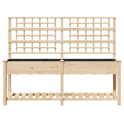 Macetero con Enrejado y Estante 203x53x152 cm de Madera Maciza de Pino V0616 Vetonek