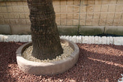 Alcorque Ribafrecha en jardín