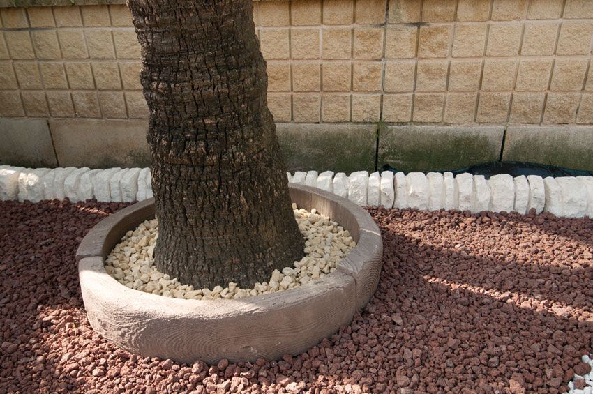 Alcorque Ribafrecha en jardín