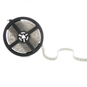 Tira de 204 LEDs/M 60W 5.000Lm CRI85 6000ºK SMD3014 12VDC IP65 x5M — Vetonek (3)