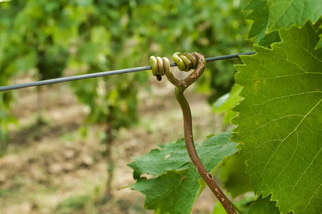 Cable Poliéster Agrícola - Vetonek