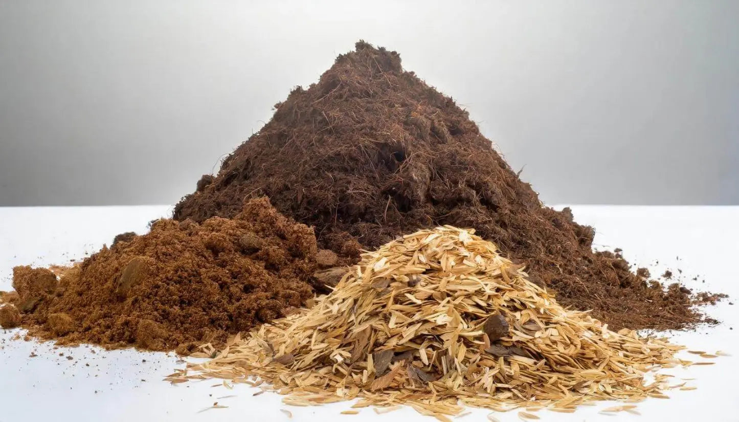 coque de riz humidité terre