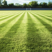 Substrat pour Gazon Sportif Vetonek