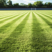 Substrat pour Gazon Sportif Premium Vetonek