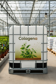Colagena — Aminoácidos de colágeno para el desarrollo vegetativo