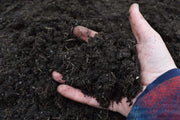 Vermichar biochar et humus