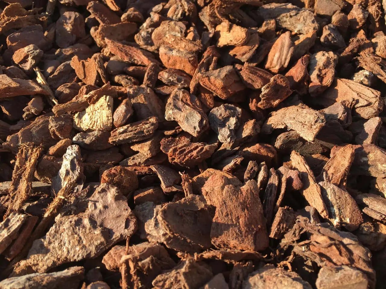 Corteza para Terrarios Reptiles Vio Habit - Vetonek