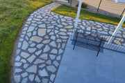 Planchoncillo Argent Bicolore Vetonek