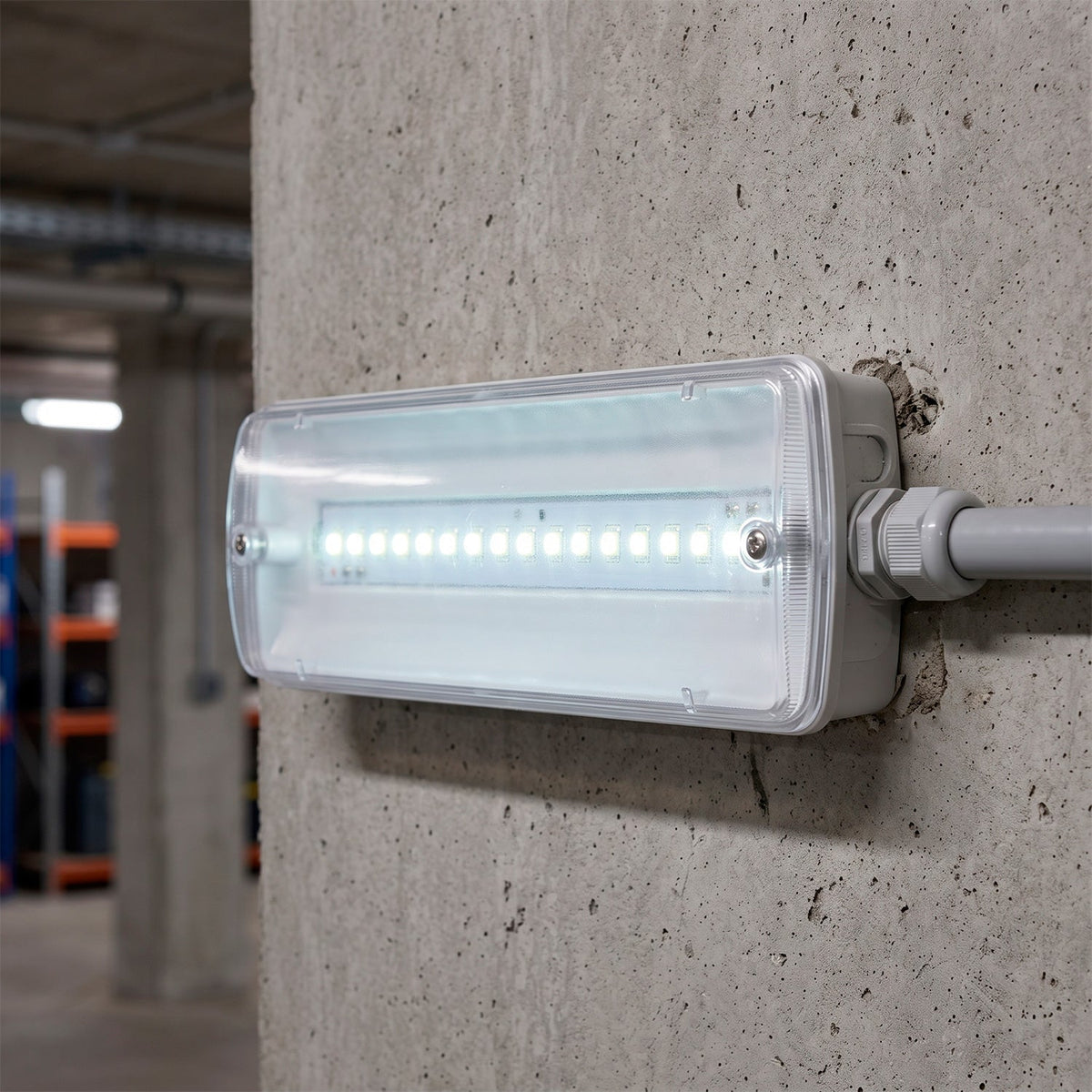 Caja estanca para emergencia LED — Vetonek