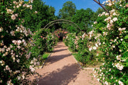 NaturaStable, estabilizador suelos - Vetonek